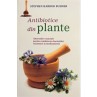 Antibiotice din plante apiluk