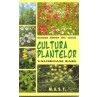 Cultura plantelor valoroase rare apiluk