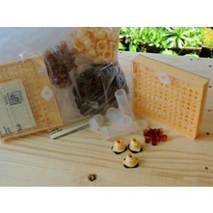 Set crestere matci Nicot, 100 matci apiluk