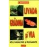 Livada, gradina si via - boli, daunatori si tratamente impotriva acestora apiluk