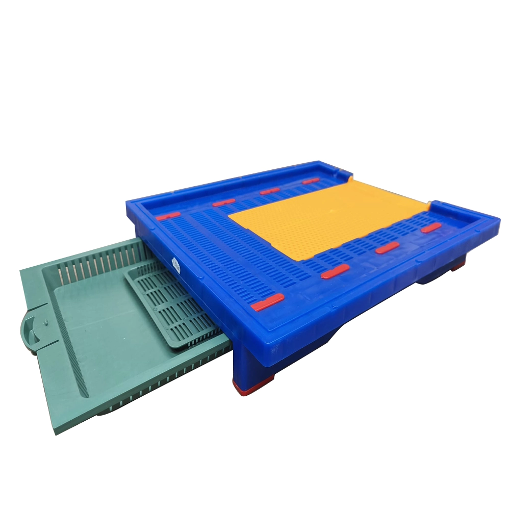 Fund stup cu colector de polen