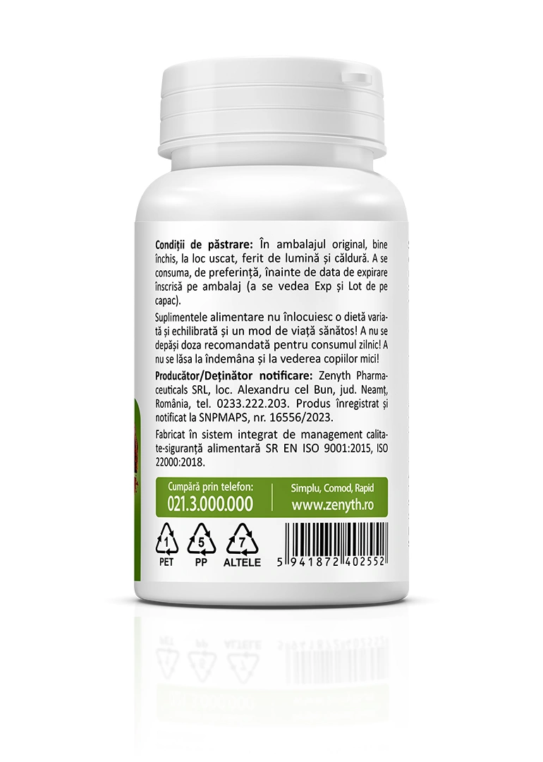 Chaga 500 mg, 30 capsule