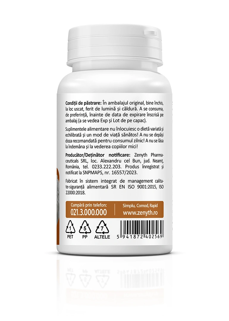 Lion’s Mane 500 mg, 60 capsule