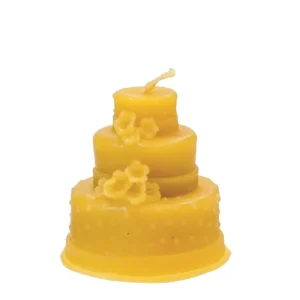tort Formă din silicon "tort"